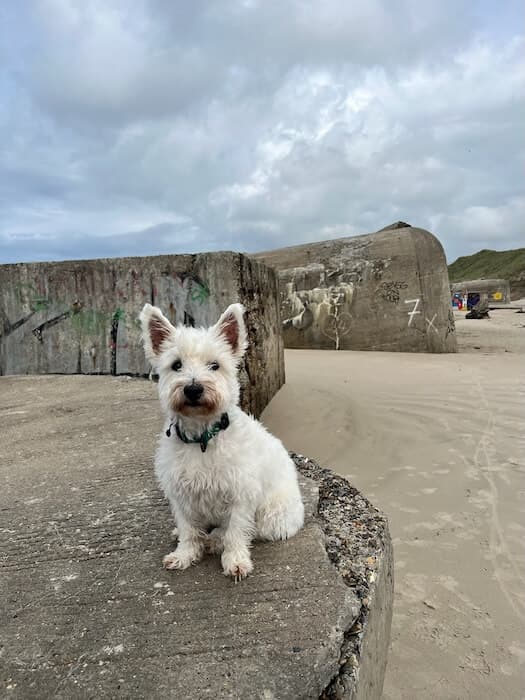 Furreby Coastal Battery detail