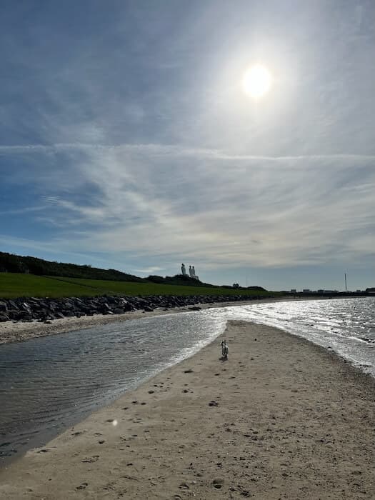 Men by the Sea detail