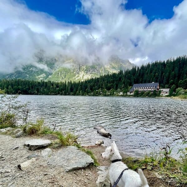 Popradské pleso
