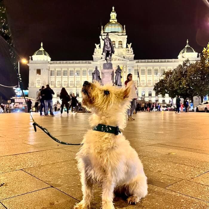 Praha