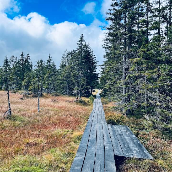 Černohorské rašelinisko