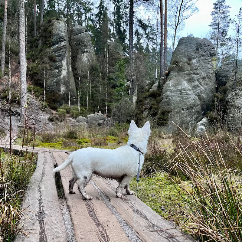 Adršpašské skály