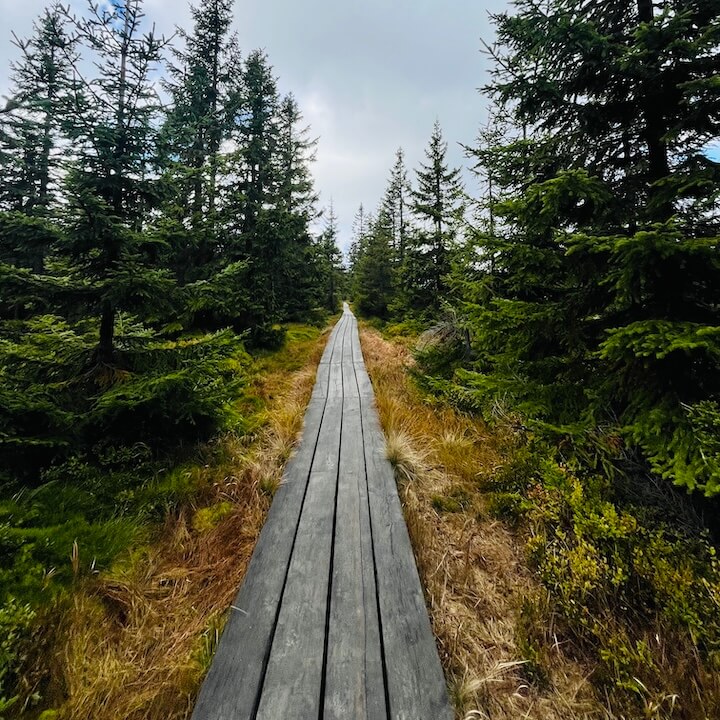 Černohorské rašelinisko